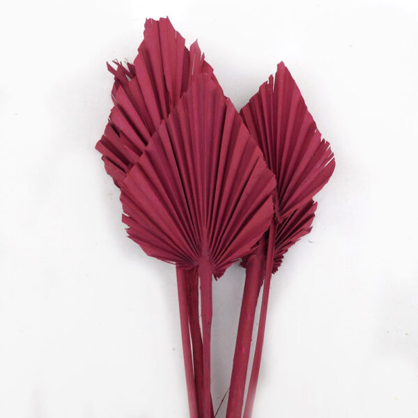 Frunză Palmier mediu ,,bordo antic ” 10 buc/set