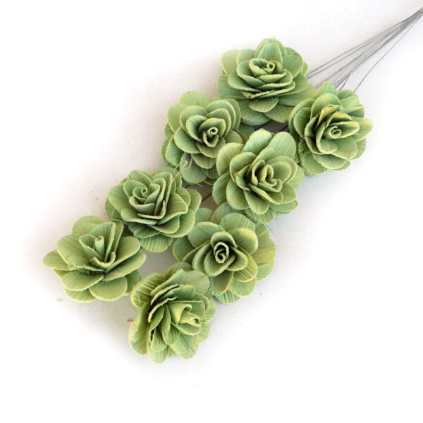 ACACIA lemn- ,,verde mint” , 8 BUC/SET