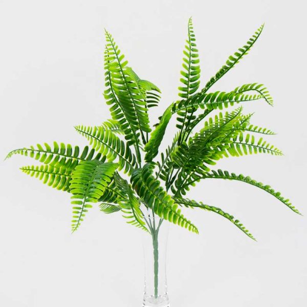 Buchet Ferigă X5 fire