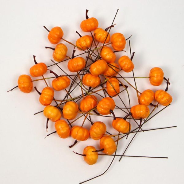 Dovleac pe sârmă - Portocaliu (30/SET)