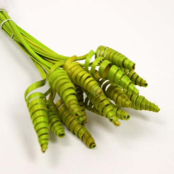 Cane cone mini- VERDE (14 buc/set)