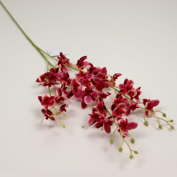Cymbidium mini cu 3 crenguțe - Roz închis
