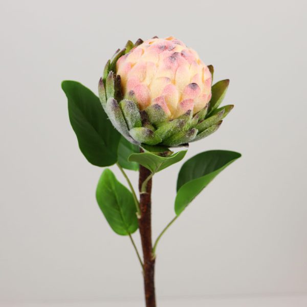 Protea artificial - ROZ