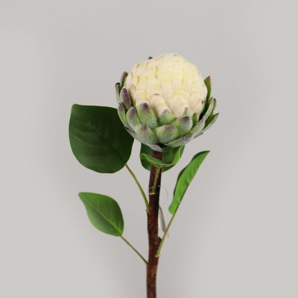 Protea artificial - CREM