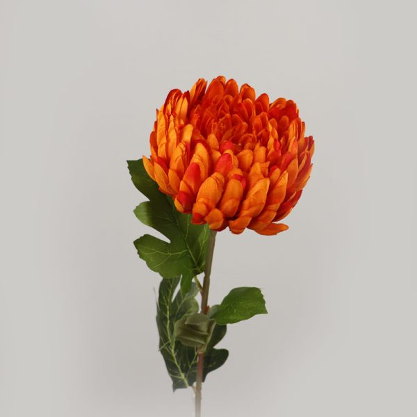 Fir Crizantemă (75cm) - PORTOCALIU