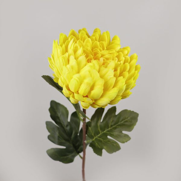 Fir Crizantemă (75cm) - GALBEN