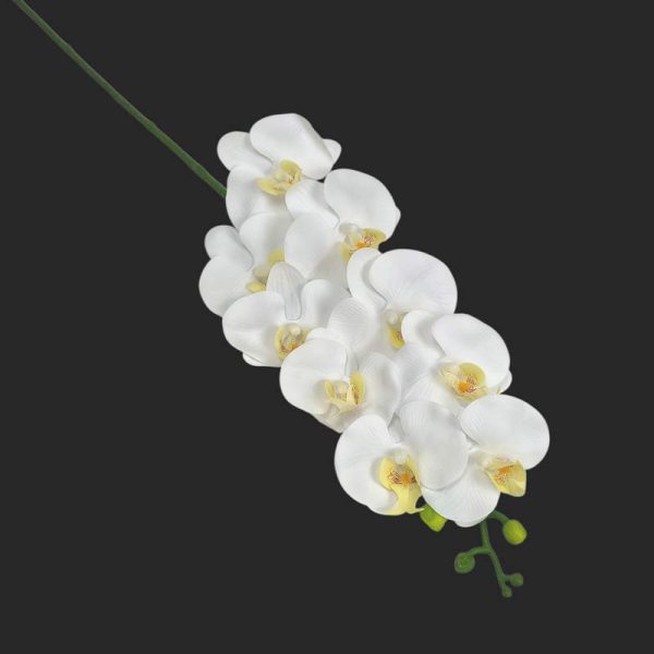Orhidee artificial realtouch - Alb