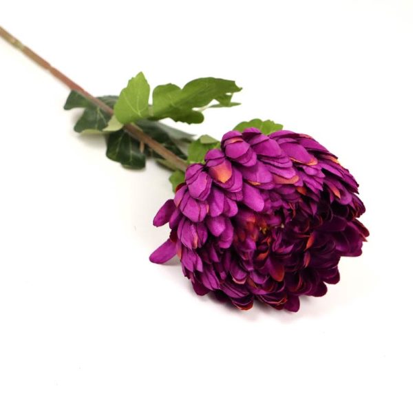 Fir Crizantemă (75cm) - MOV