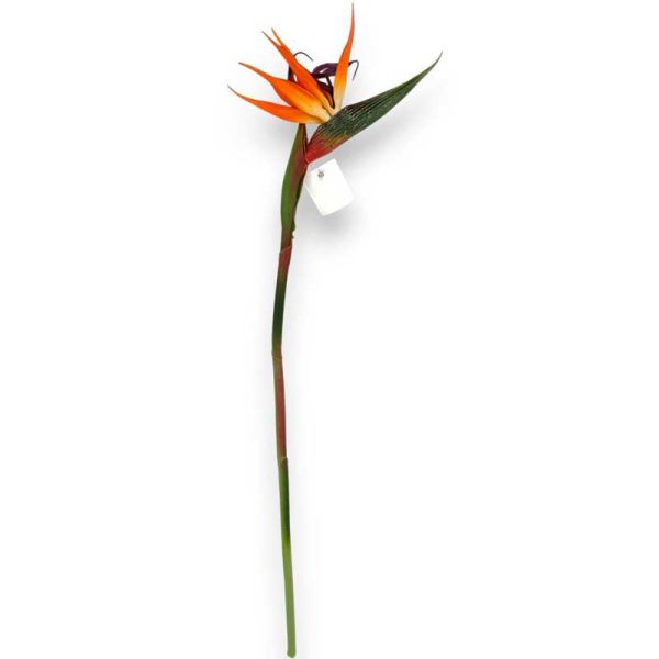 Pasărea Paradisului artificial 60cm (strelitzia)