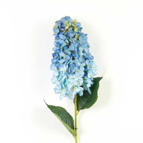 Fir Hortensie Paniculata 80cm-Albastru degrade