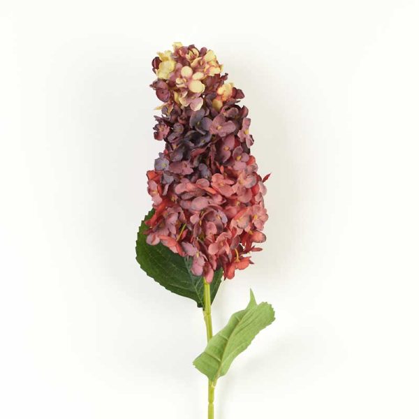 Fir Hortensie Paniculata 80cm-Cărămiziu degrade