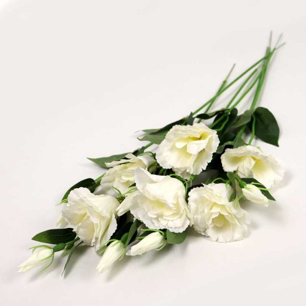 Lisianthus - Alb  6/set