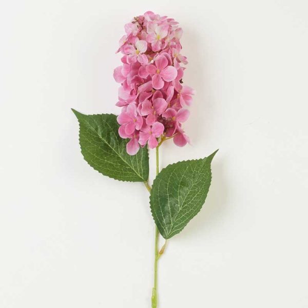 Fir Hortensie Paniculata 60cm-ROZ