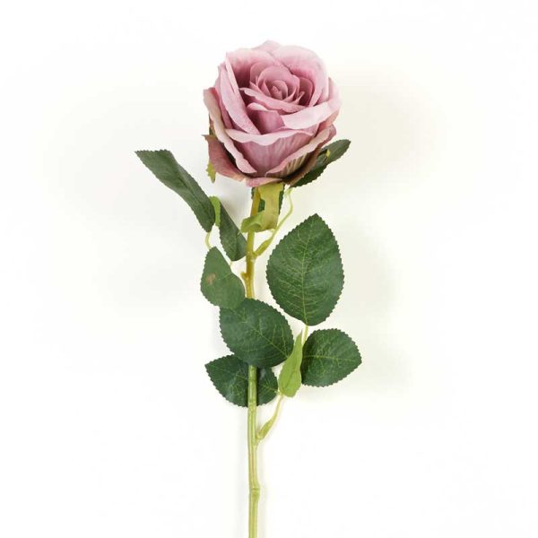 Trandafir la fir 58 cm- ROZ AUTUMN