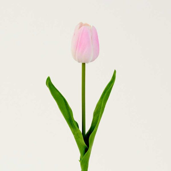 Fir Lalea Siliconat-Alb/Roz