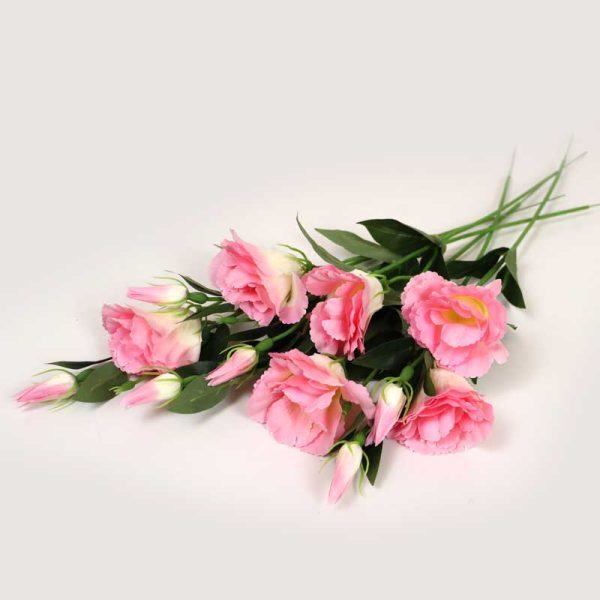 Lisianthus - Baby Roz 6/set