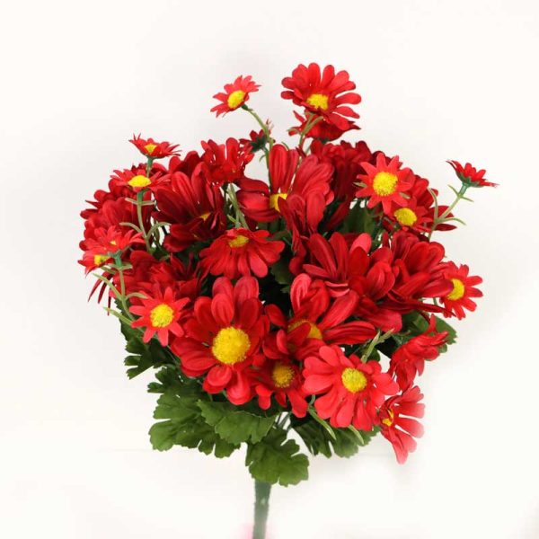 Buchet margarete X24  - ROȘU