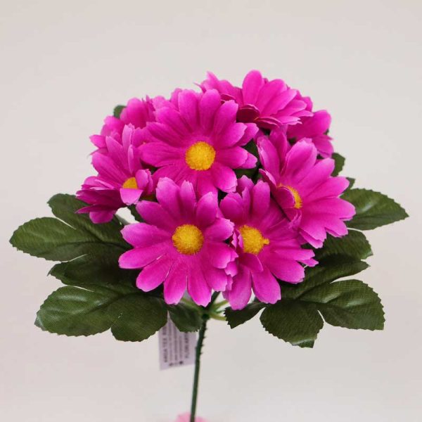 Buchet margarete - ȚICLAM