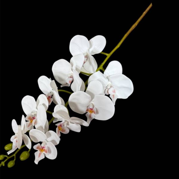 Orhidee artificial realtouch - ALB (TP)