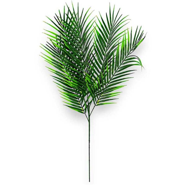 Frunze de palmier - PHOENIX